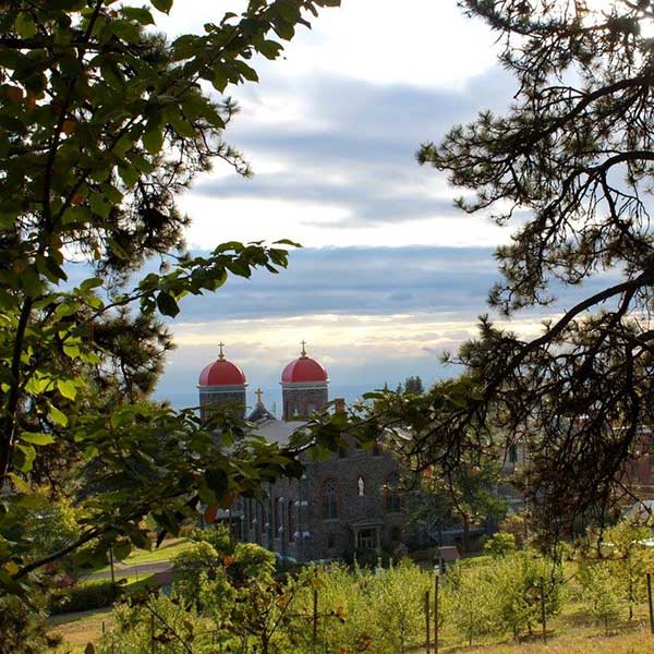 Cottonwood St Gertrude